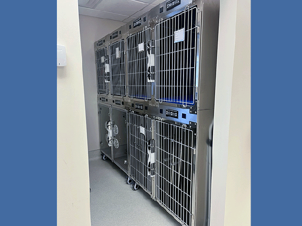 Small kennels.