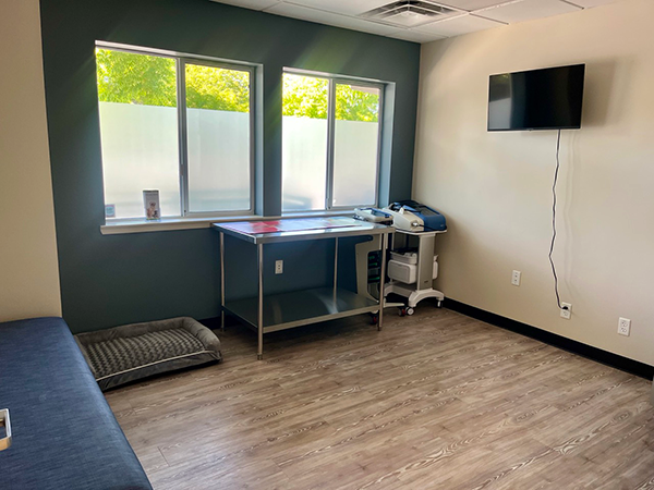 Shockwave therapy room.