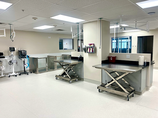 Treatment Room.